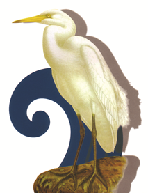 Kotuku logo, NZSA
